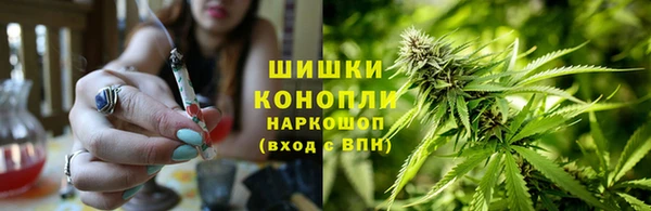 бошки Переславль-Залесский
