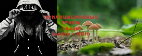 бутират Пересвет