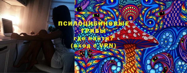 бошки Переславль-Залесский