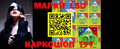 стаф Аргун