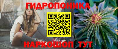 гидра Апрелевка