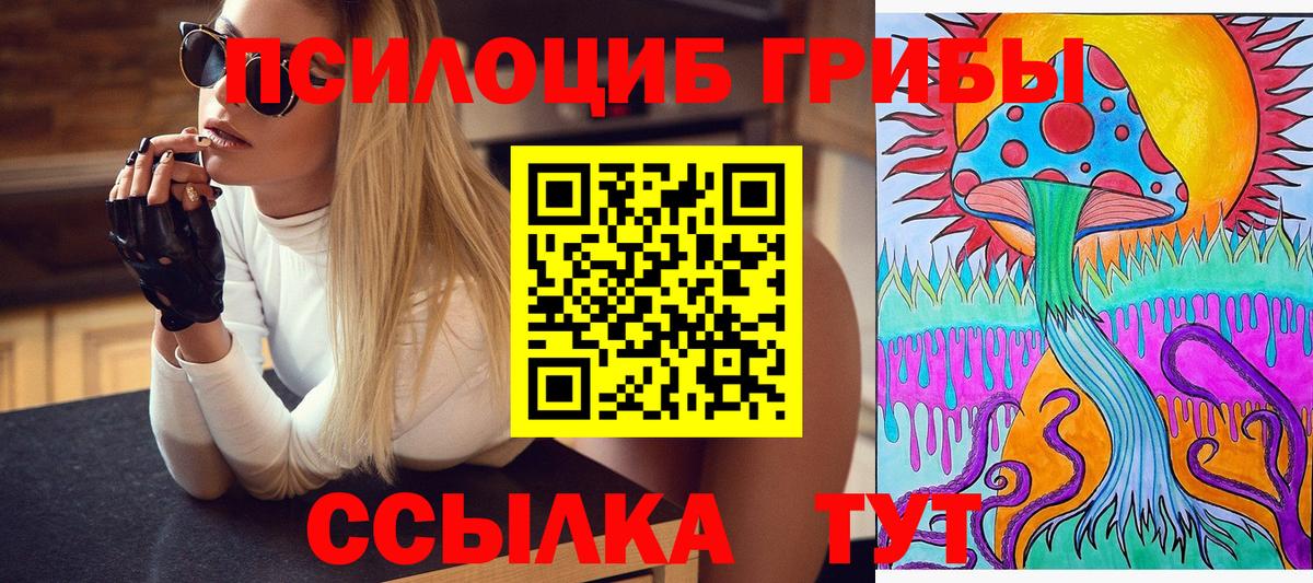 Бахчисарай  Галлюциногенные грибы GOLDEN TEACHER  Вход с VPN 