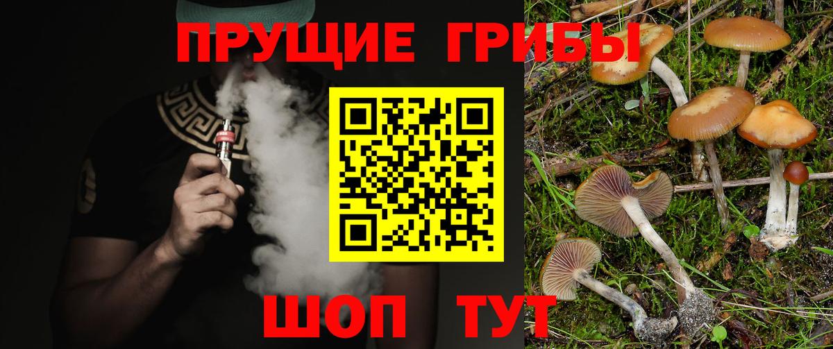 где найти наркотики  Бахчисарай  Псилоцибиновые грибы Magic Shrooms 